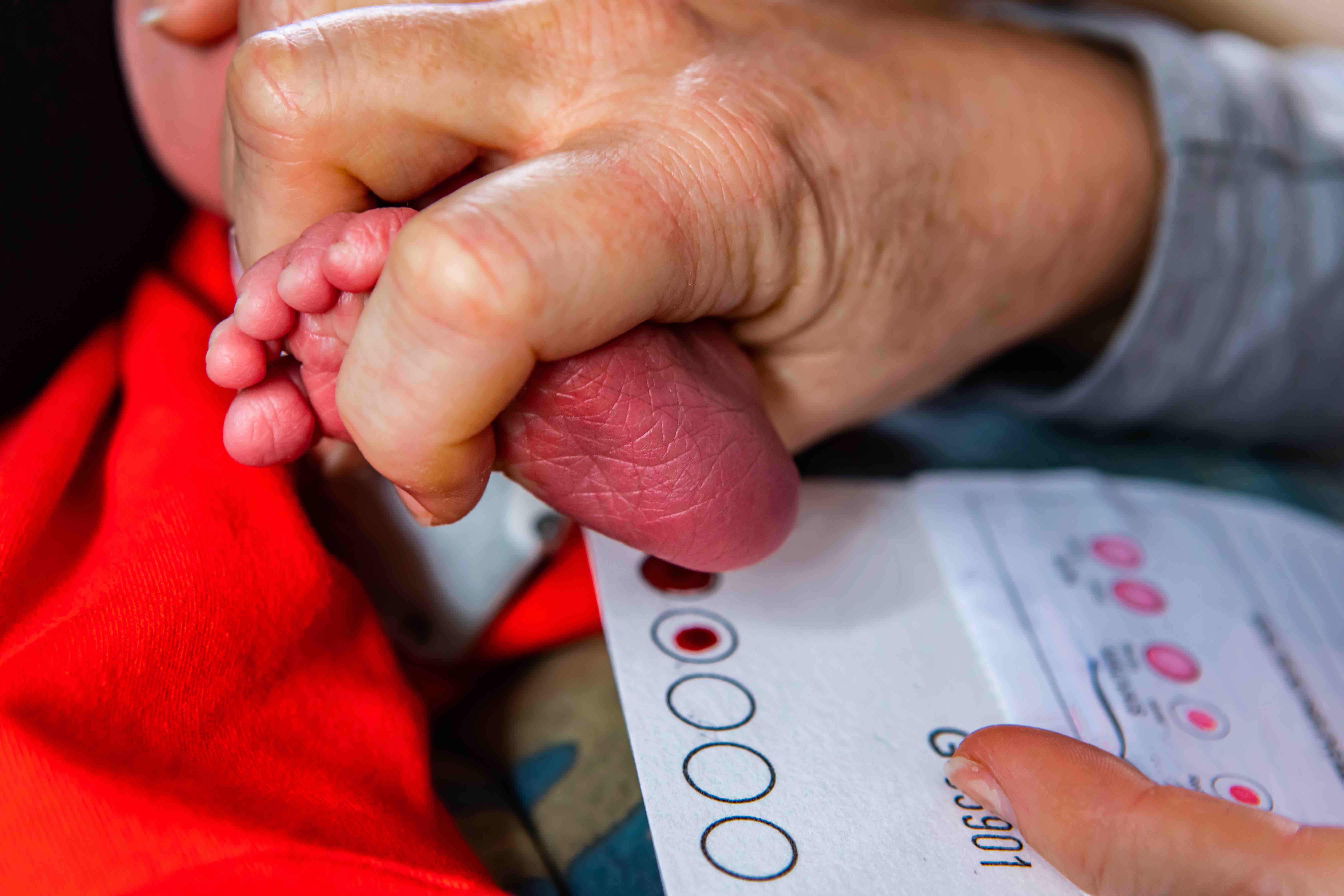 Baby's blood sampled from the heel at birth