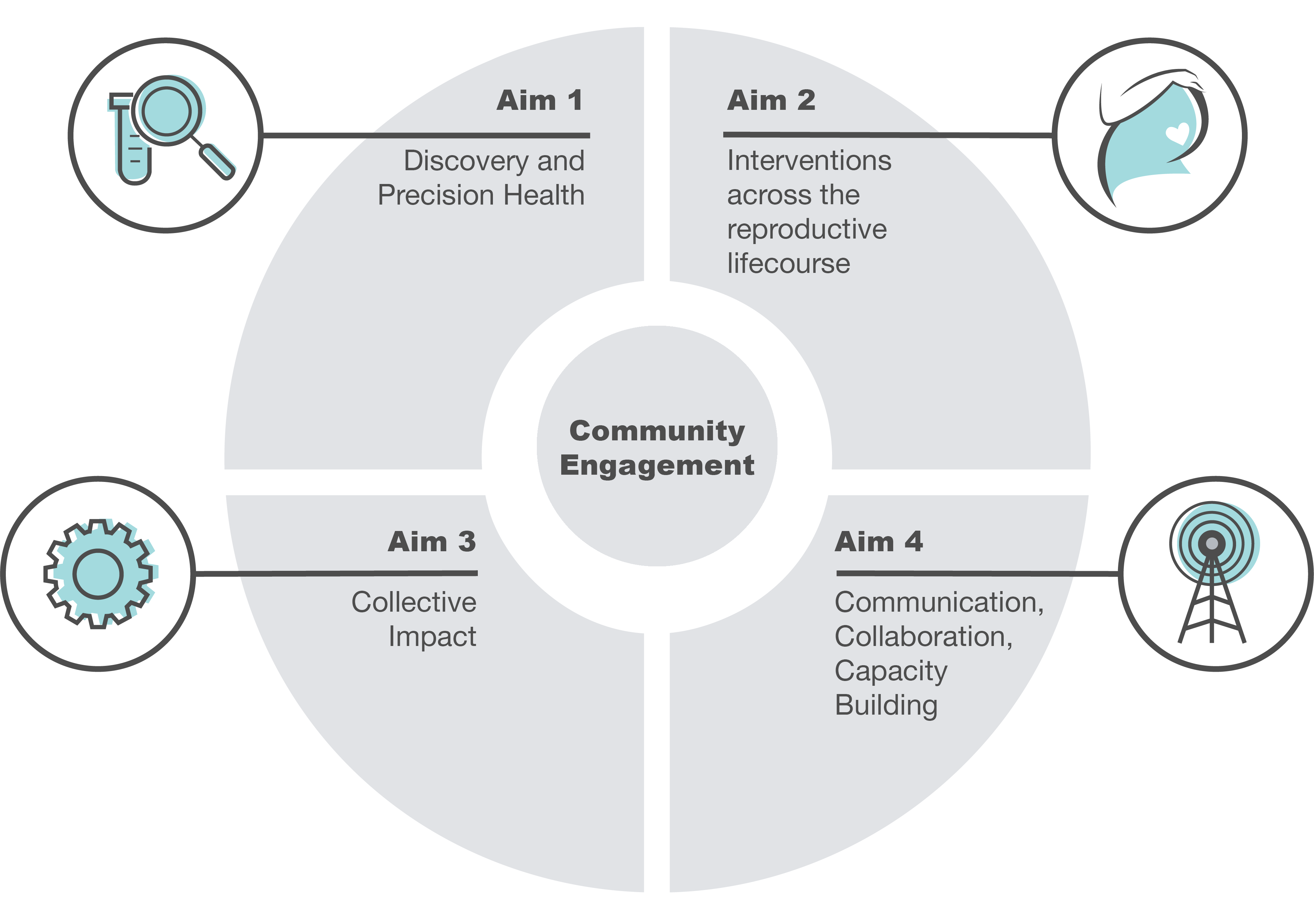 Aim Chart