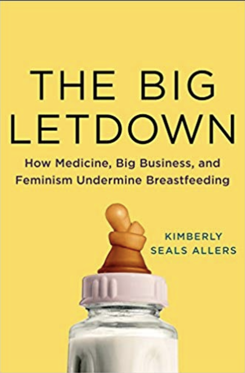 The Big Letdown: How Medicine, Big Business, and Feminism Undermine Breastfeeding
